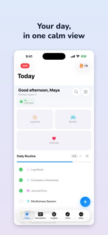 Everyday Insight Screenshot 1 of 10