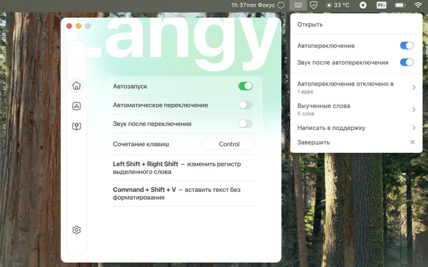 Скриншот Авто-раскладка RU/EN – Langy на iPhone 1