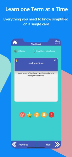 Circulatory System Flashcards screenshot 3