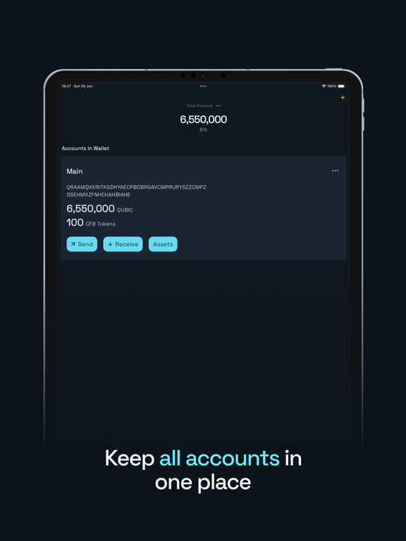 Qubic Wallet iPad screenshot 2 - Finance app