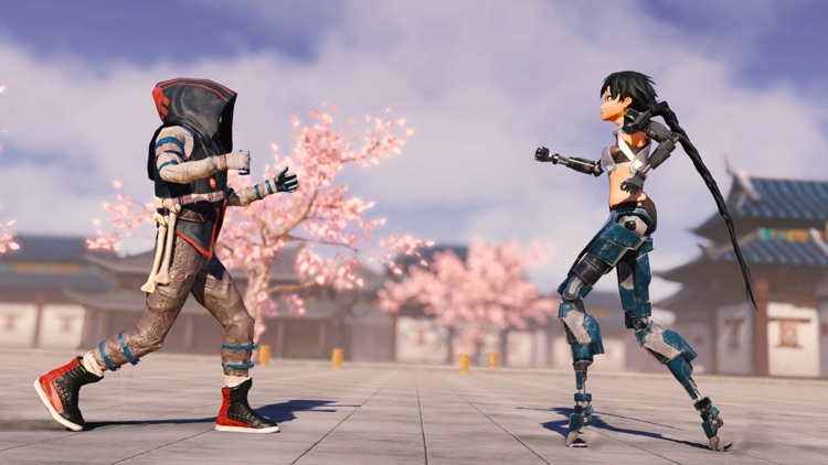 Karate Fight: Kung fu