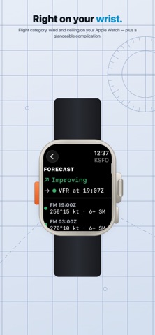 Metarly: Aviation Weather screenshot