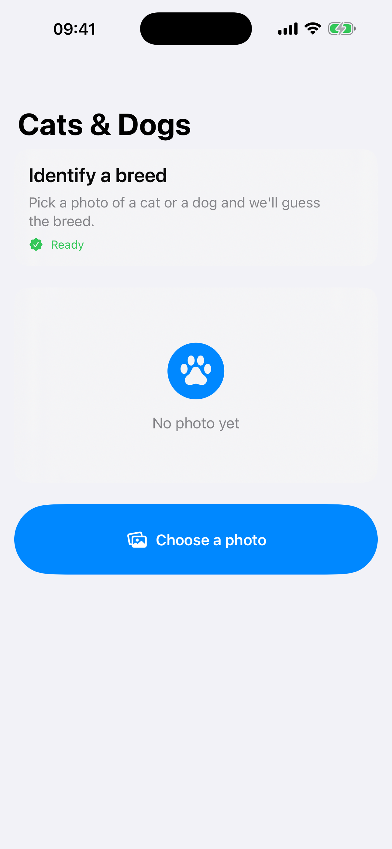 Cats & Dogs Identifier