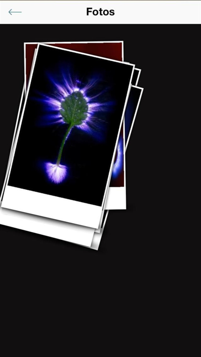 Bioenergetik-Zentrum Screenshot