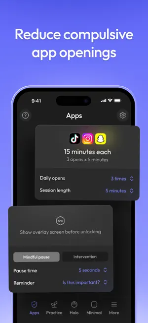 ScreenZen- Screen Time Control screenshot 2