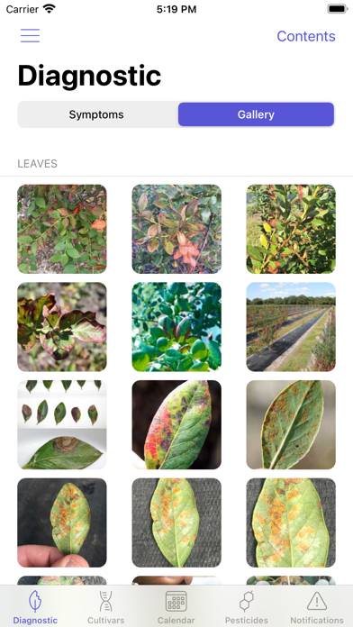 UF Blueberry Growers Guide Screenshot