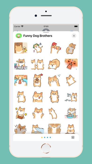 Funny Dog Brothers Screenshot