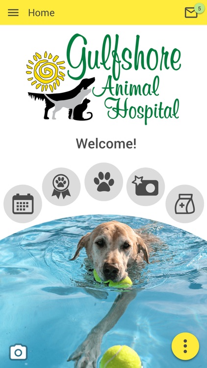Gulfshore Animal Hospital