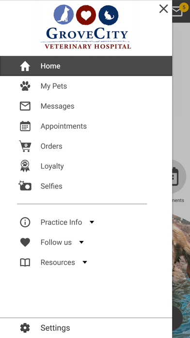 GroveCityVet Screenshot