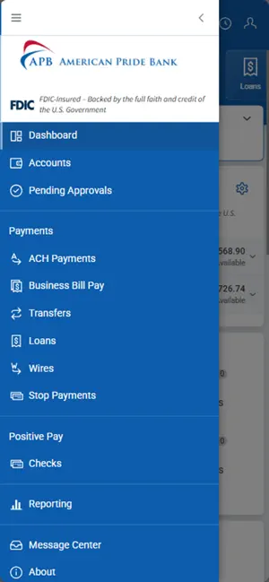 APB Cash Management screenshot 2