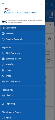 APB Cash Management Screenshot 2 of 3