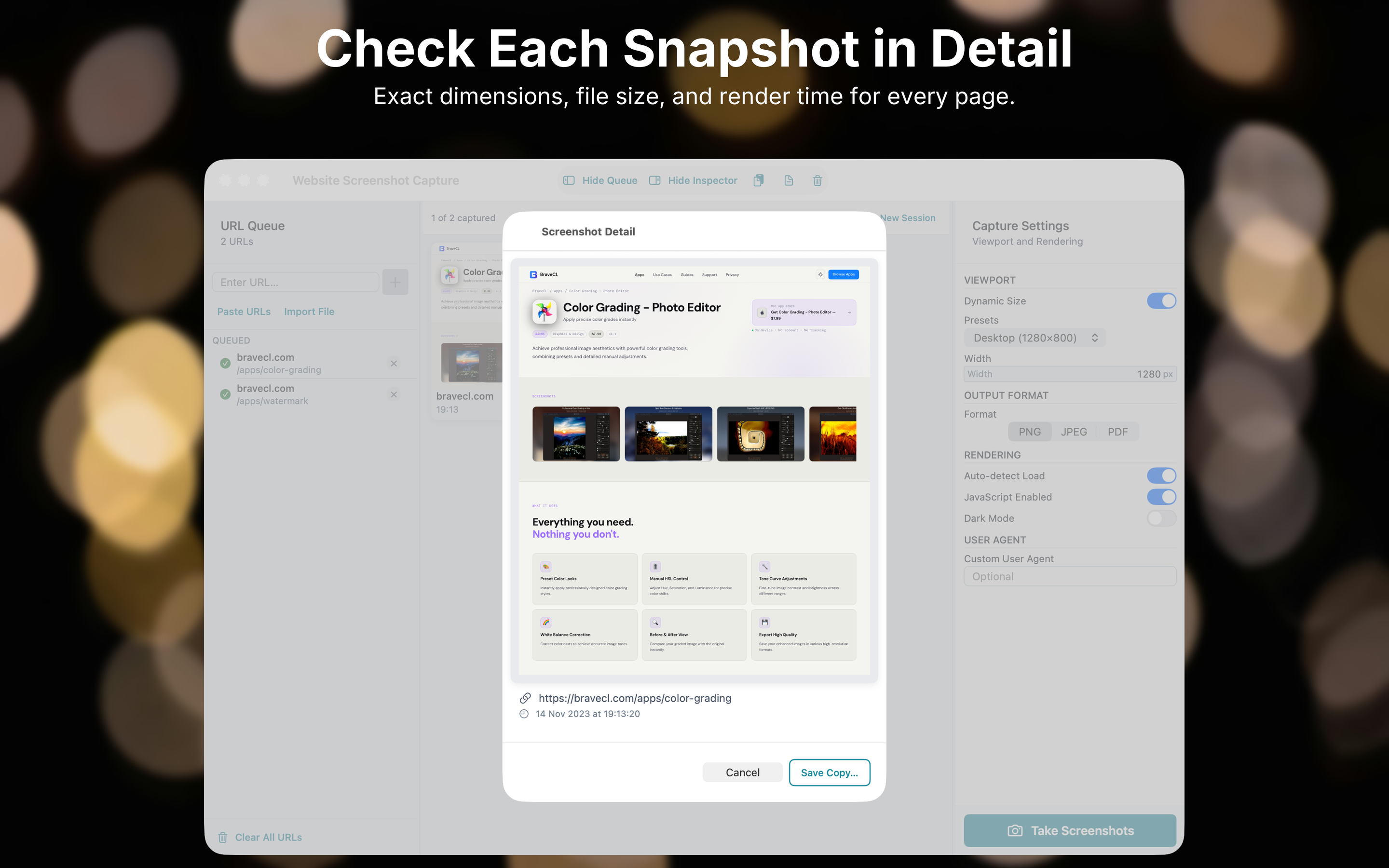Website Screenshot Capture