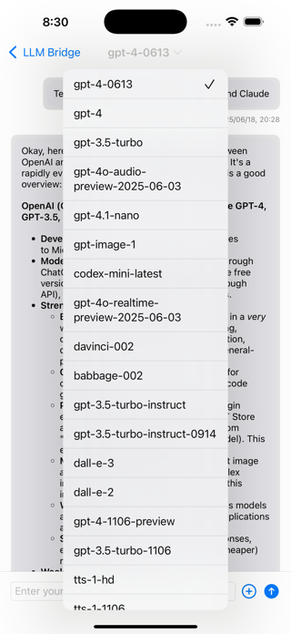 LLM Bridge - Multi LLM Client Screenshot 10 of 10