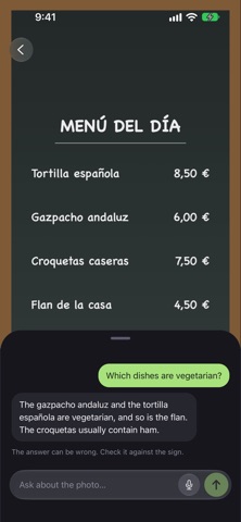 Loro: Offline Translator Screenshot 3 of 5