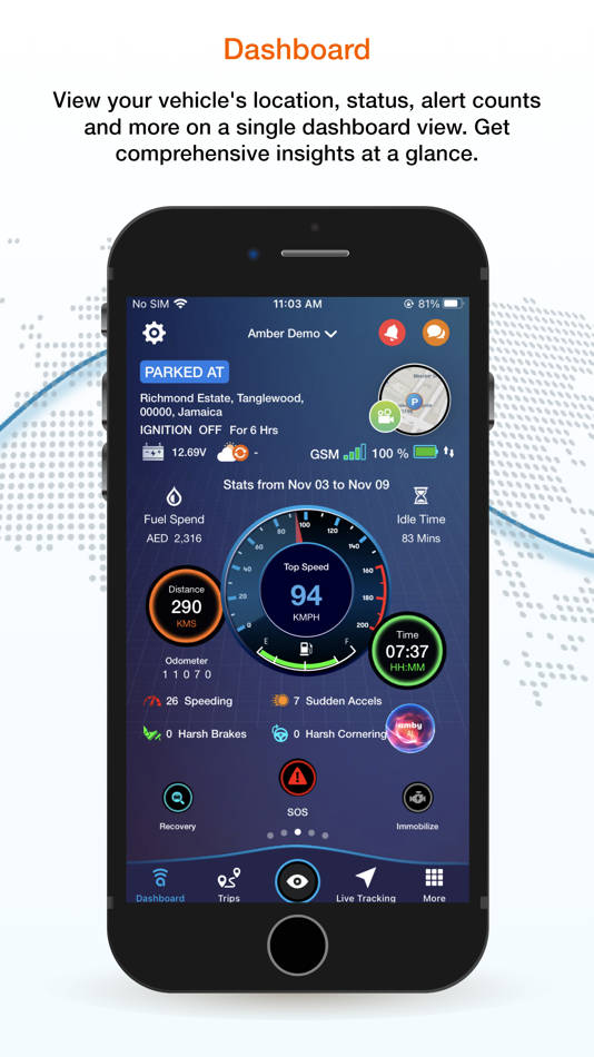 #2. Amber Fleet Connect (iOS) 由: Amber Connect Ltd