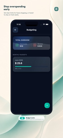 Ibils: Budget Tracker iPhone screenshot
