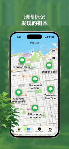 树木识别：TreeBarkId screenshot