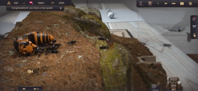 Ant Sim Tycoon Screenshot 7 of 7
