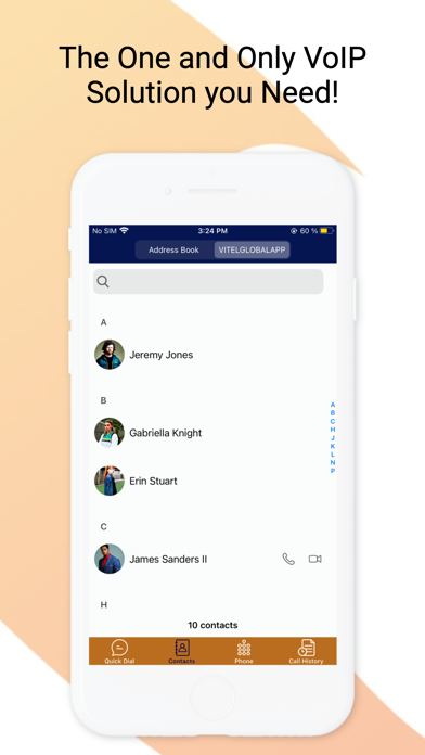 Vitelglobal Screenshot