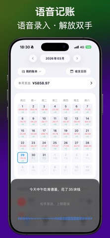 轻记账 - 自动记账 语音记账 无广告&AI极简随手记账本 screenshot