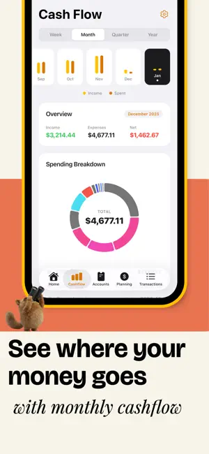 Nugget: Net Worth & Cash Flow screenshot 4