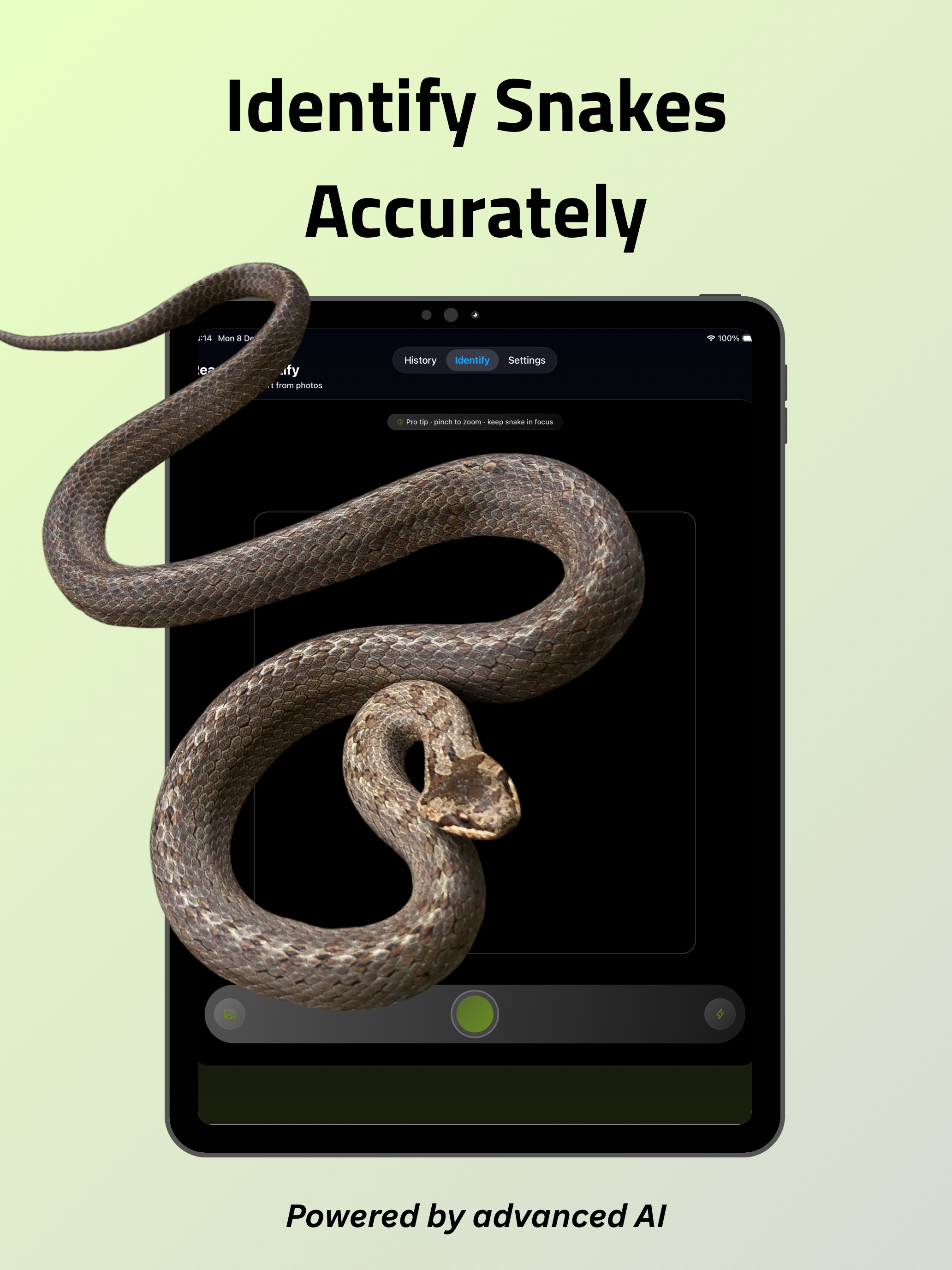 Snake Identifier Pro screenshot 5