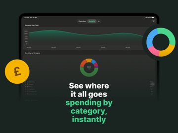 BucksBuddy: AI Couple Expenses iPad screenshot