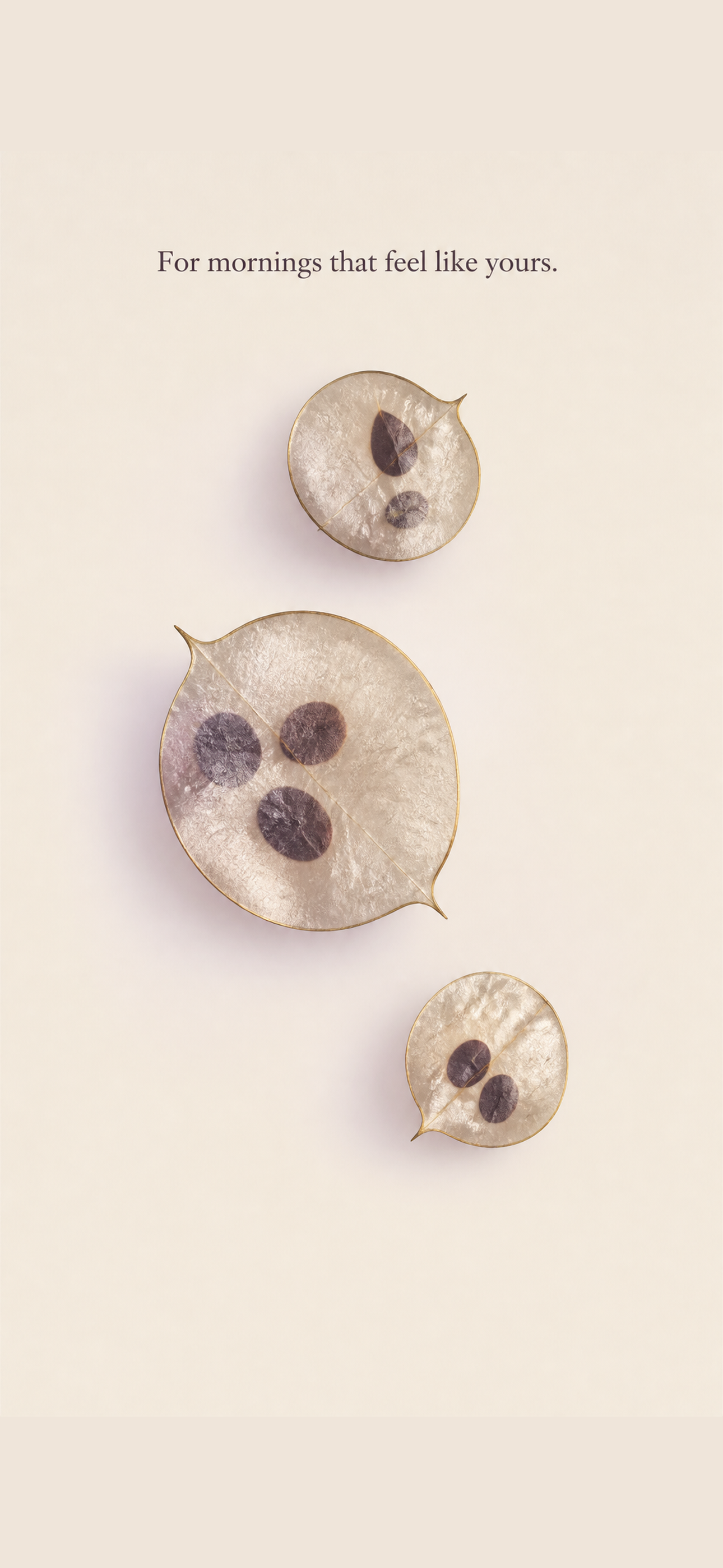Lunaria screenshot 4