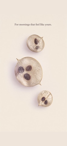 Lunaria Screenshot 4 of 5
