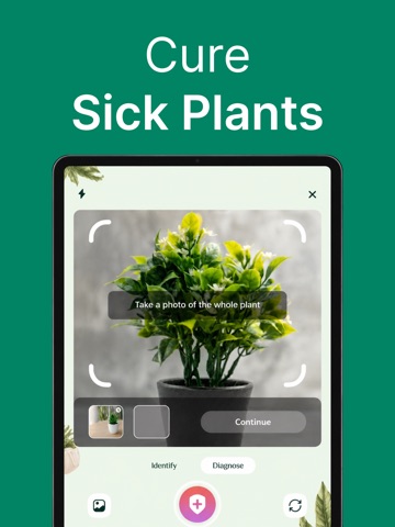 Plant Identifier Leaf Scanner iPad screenshot