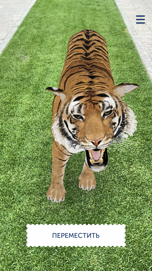 #1. mARka (iOS) بواسطة: EligoVision Ltd