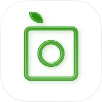 Unknown Plant? Identify Them With this Plant Identifier App