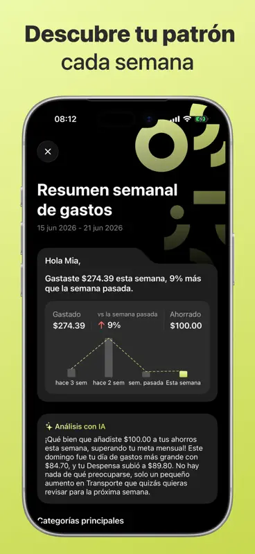 Control de Gastos: DaTrack screenshot 7 of 10