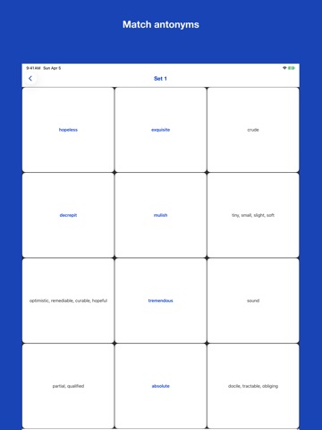 Mastering English Adjectives iPad screenshot