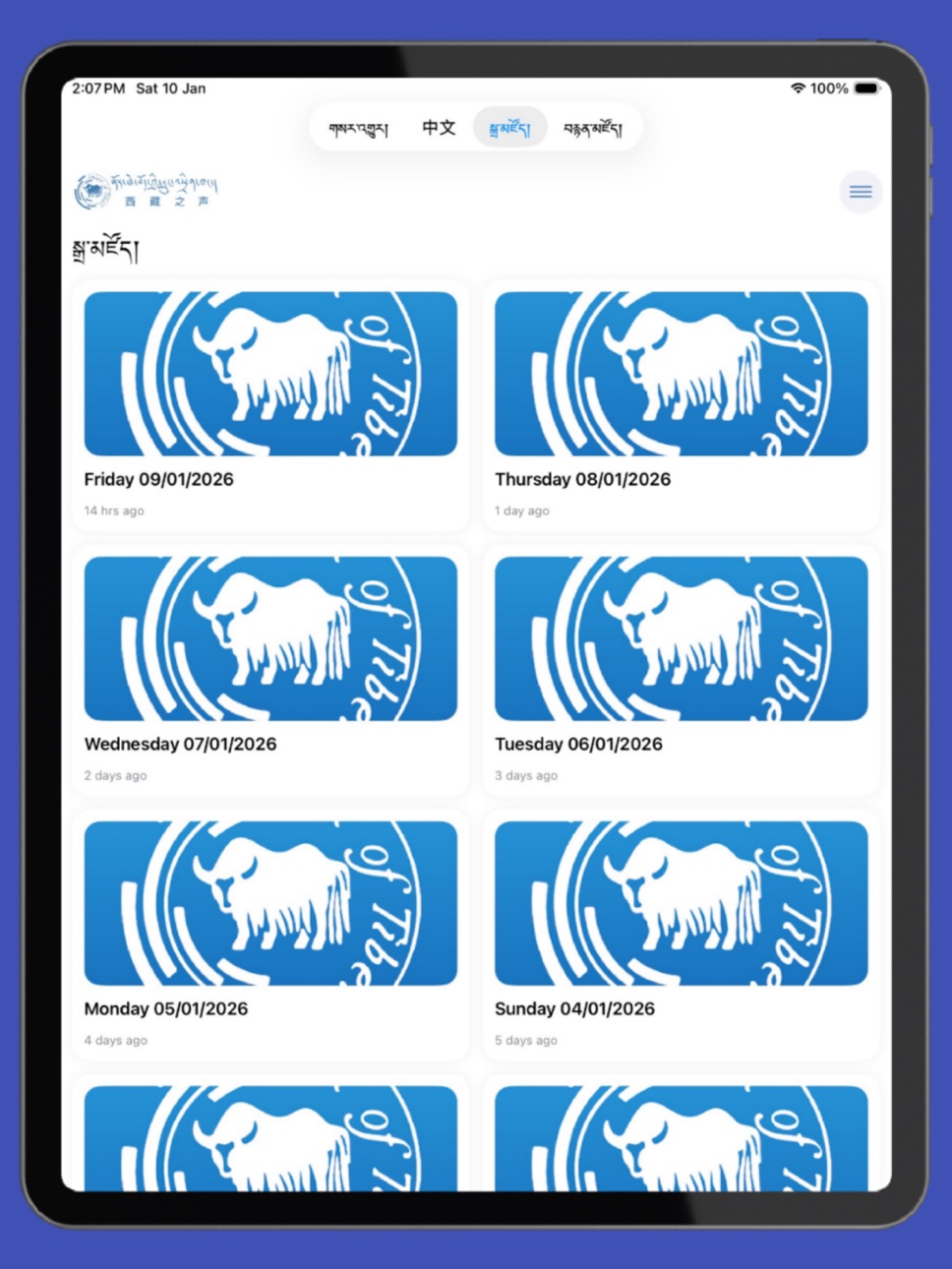 iPad screenshot