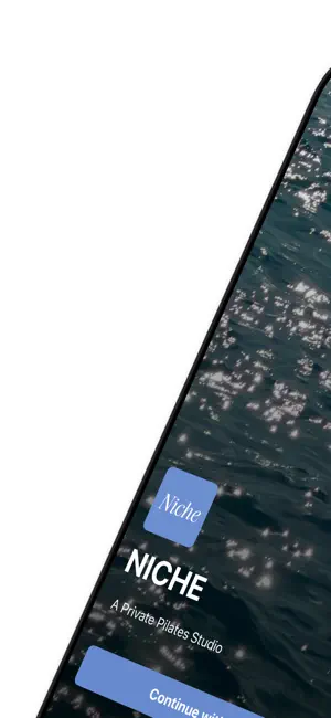 The NICHE Method screenshot 1