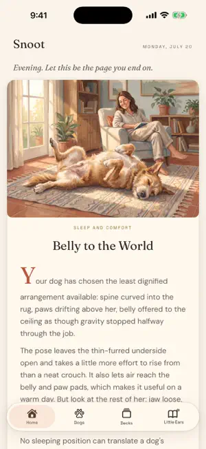 Snoot Folio screenshot 1