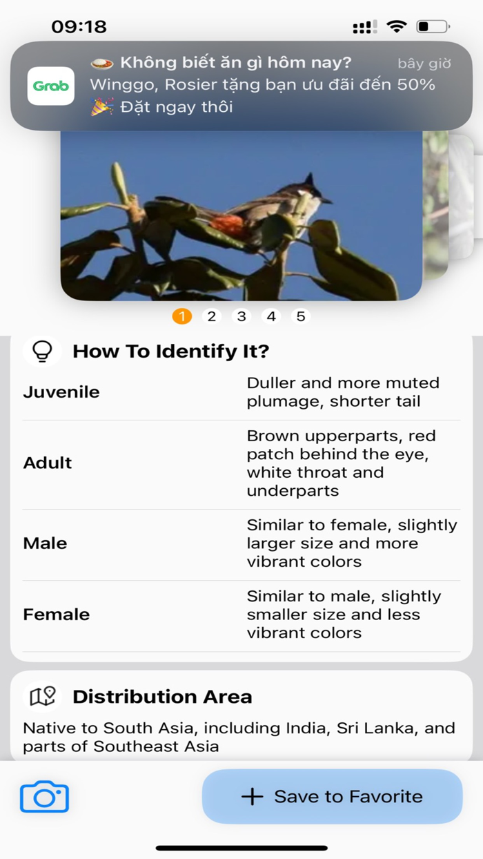 Bird Identifier AI Scanner
