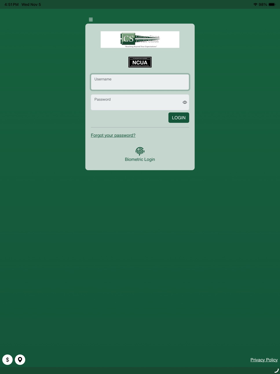 iPad screenshot