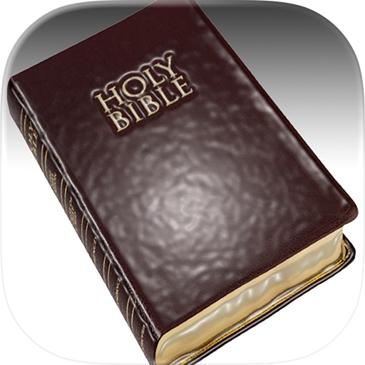 Daily Bible Read