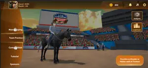 Live Team Roping screenshot 1