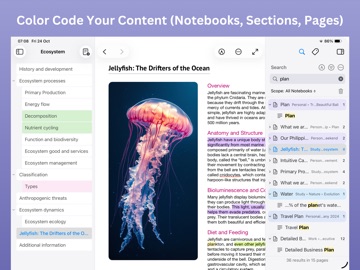 Outline: Notes and More iPad screenshot