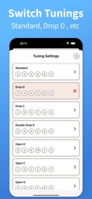 Electric Guitar Tuner ™ screenshot