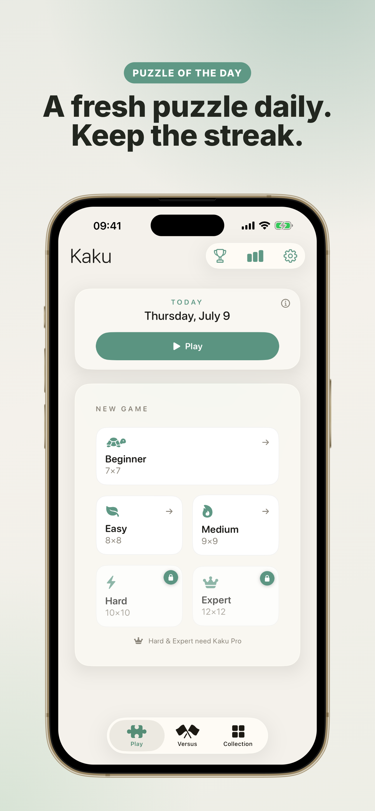 Kaku - Shikaku Puzzle screenshot 2