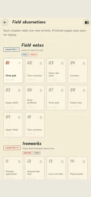 Magnet Field: Polarity screenshot 4