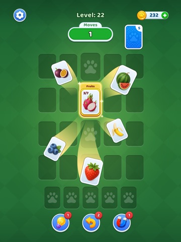 Card Sort: Category Sorting iPad screenshot