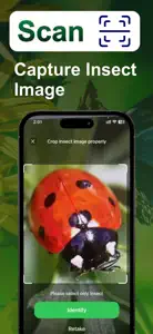 Insect identifier: AI Bug ID screenshot #2 for iPhone