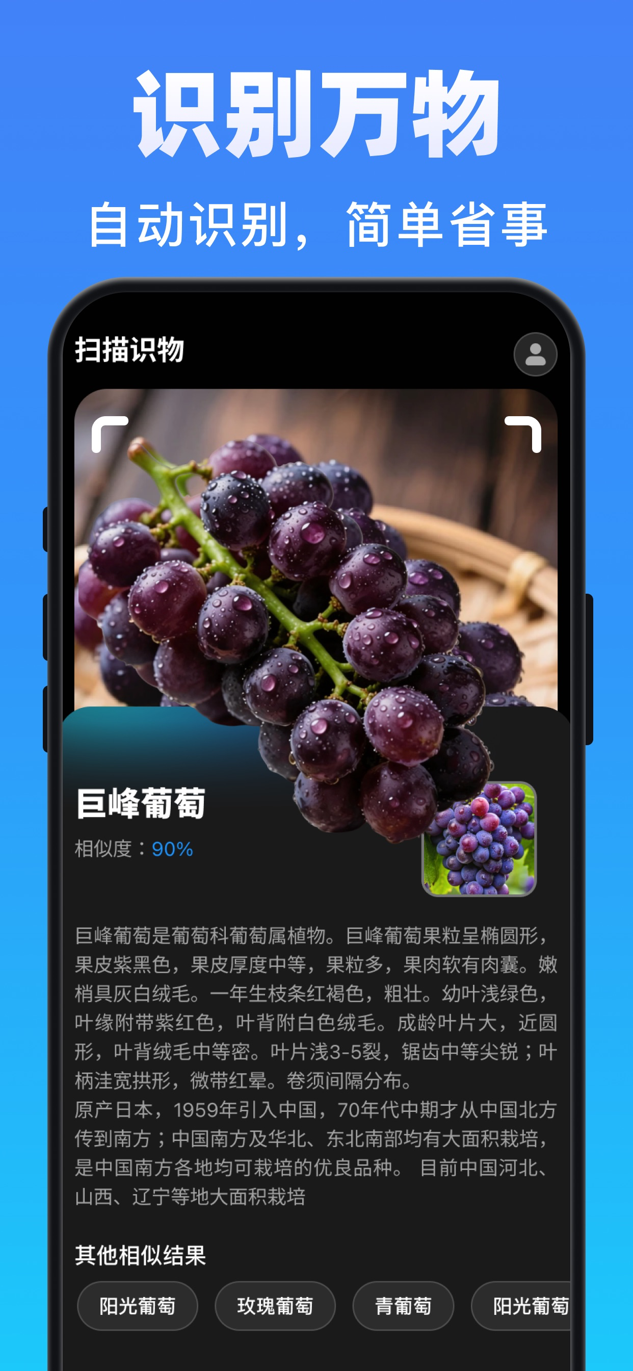AR Measuring Tool