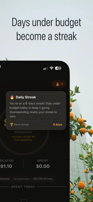 DayBank - Daily Budget Tracker screenshot 3