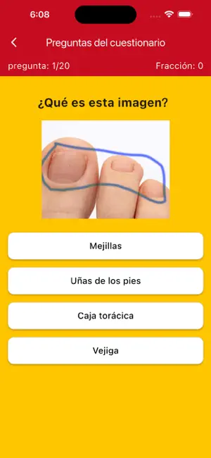 Learning Spanish Body Parts screenshot 4
